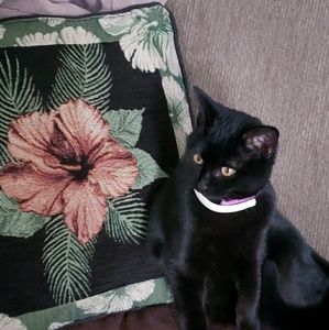 Meet your Posher, Jess